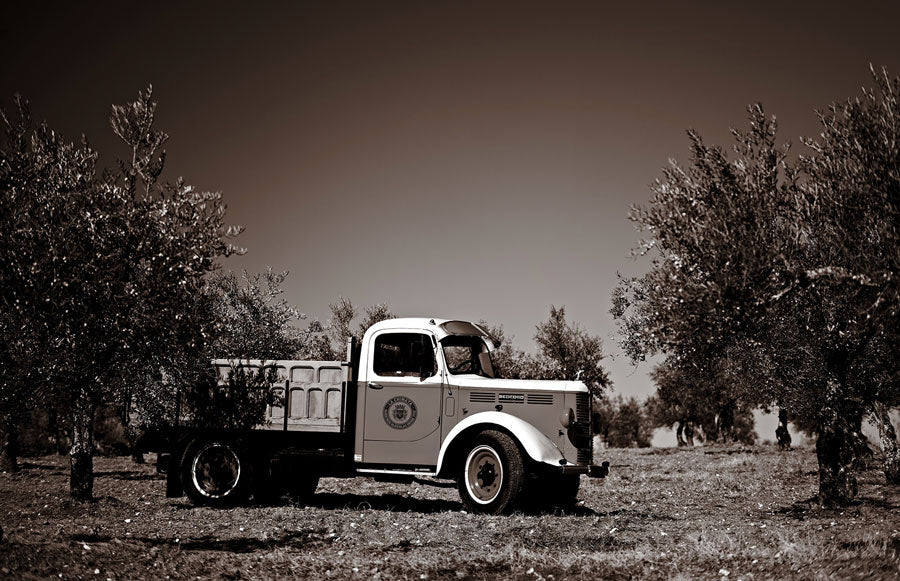 camion